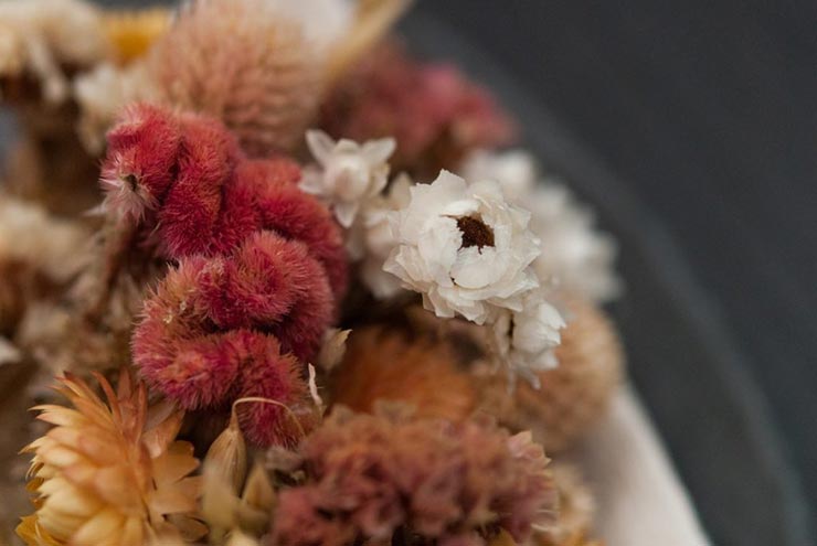 A closeup of white and pink dry flowers.