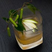 A tumbler glass cocktail with a large ice cube and 3 slices of green apple fanned out on top, garnished with greenery.