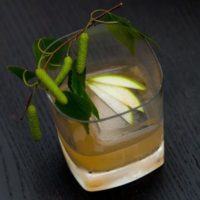 A tumbler glass cocktail with a large ice cube and 3 slices of green apple fanned out on top, garnished with greenery.