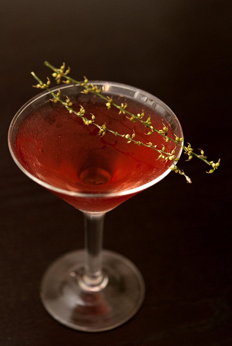 A red cocktail in a martini glass on a black table, garnished with 2 dry sprigs of a dry, seeded grass.