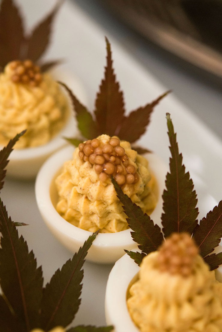 3 deviled eggs garnished with green maple leaves and mustard caviar, sitting on a white plate.