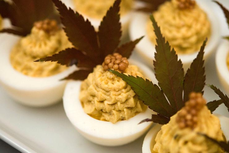 5 deviled eggs garnished with green maple leaves and mustard caviar, sitting on a white plate.
