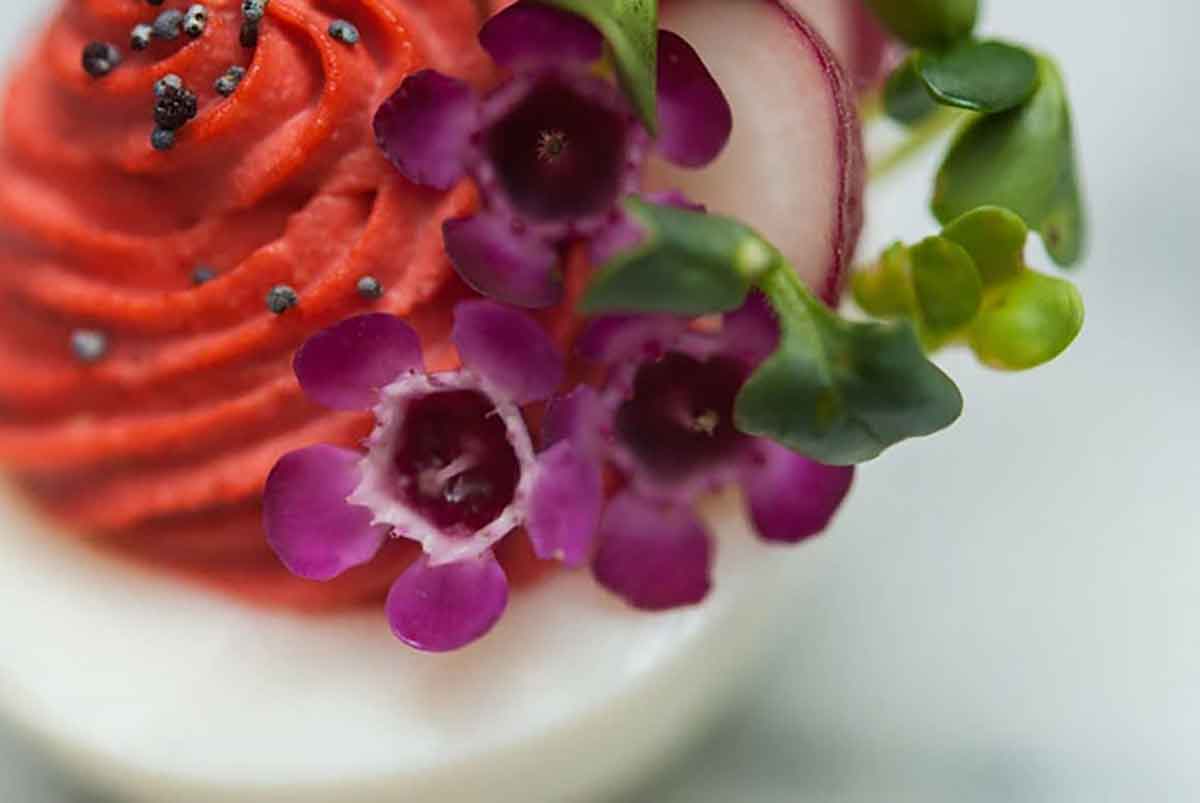 Flowers, sprouts and radish slices on the side of a deviled egg with red filling.