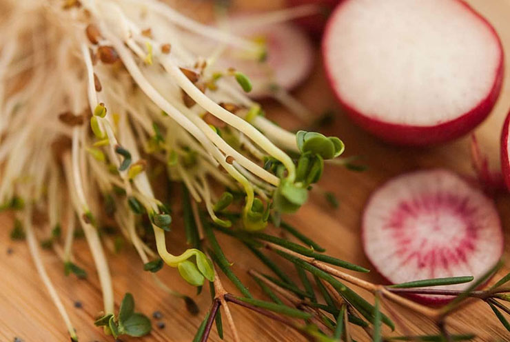 Want to create the prettiest Valentine's Day deviled eggs? All you need is some mustard, mayo, creamy horseradish and a little drop of dye or all-natural beet juice color. #deviledeggs, #valentinesday A small bunch of sprouts and sliced radishes on a wooden cutting board.