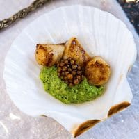 A small shell on a plate containing 3 small scallops, pesto cream and mustard caviar.