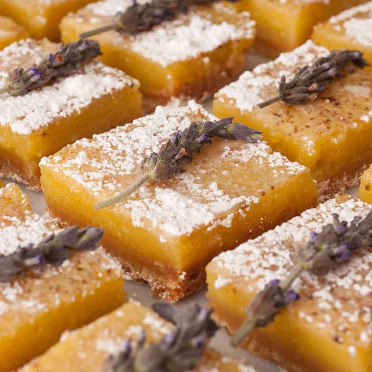 12 lavender lemon bars on a white marble table garnished with fresh lavender and powdered sugar.