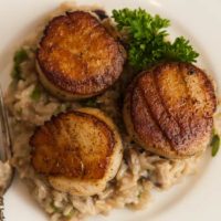 3 seared scallops on top of creamy rice, garnished with a sprig of parsley.