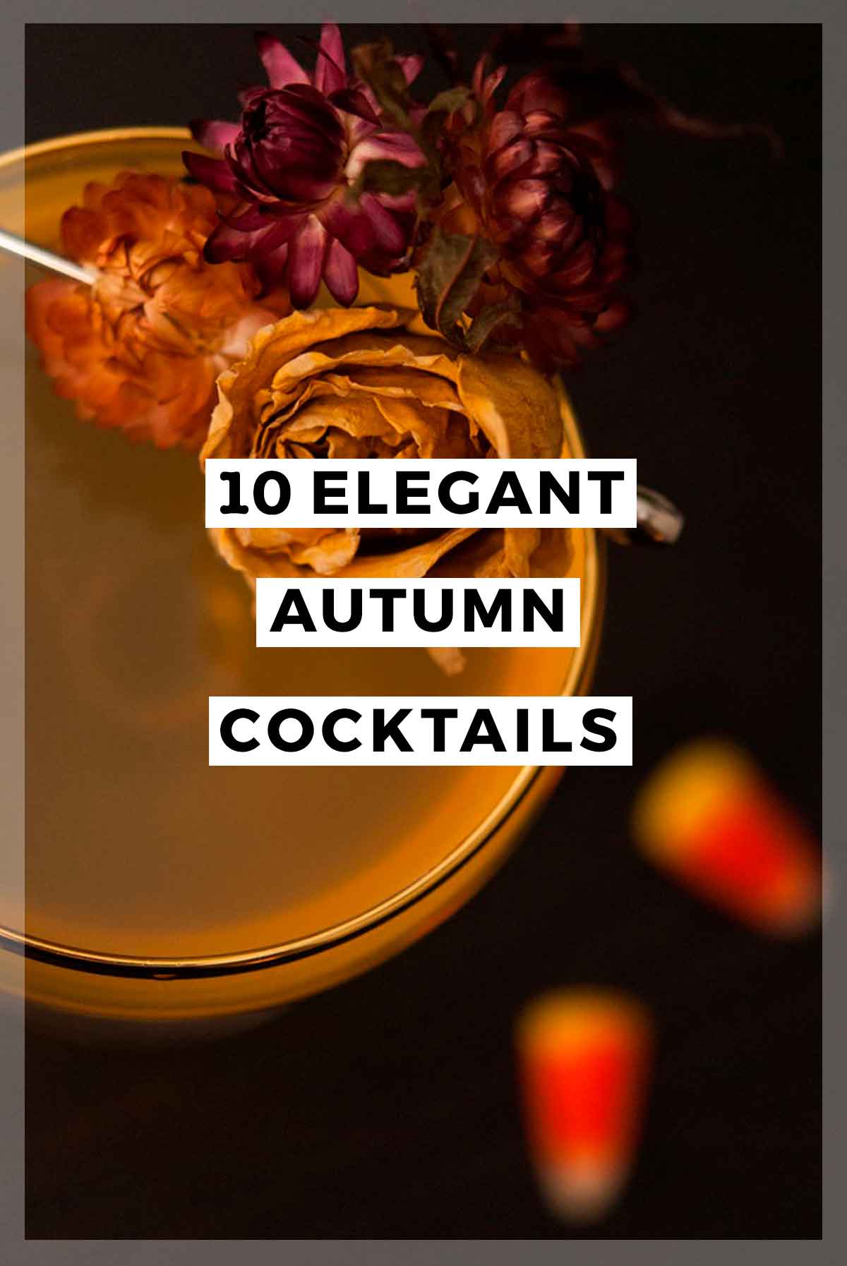 A fall cocktail with a title that says "10 Elegant Autumn Cocktails."