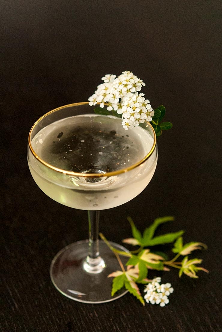 A coup glass cocktail garnished with white flowers on a black table, sprinkled with small green leaves.