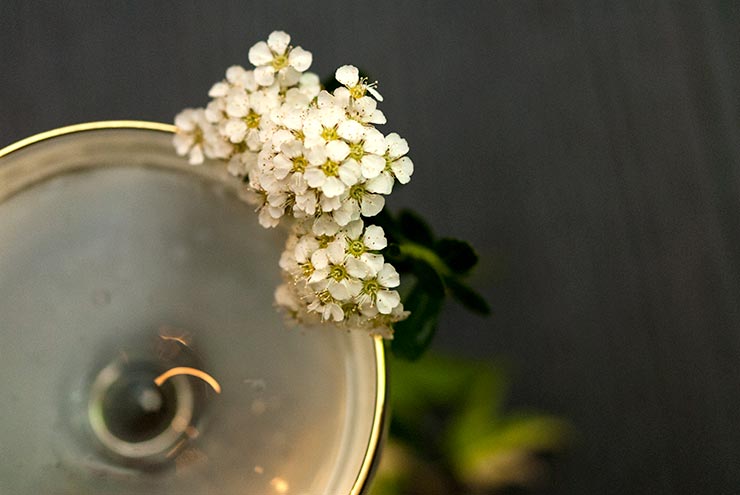 The white flower garnish on a gold-rimmed cocktail glass.