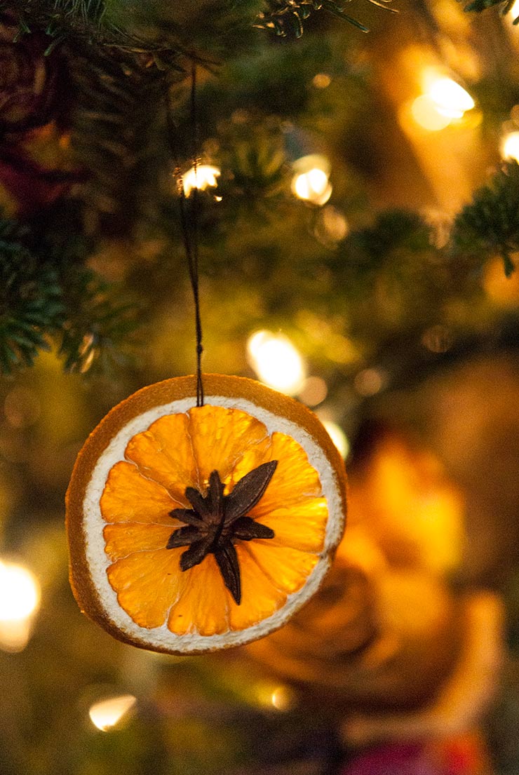 A dried orange slice with star anise in the center hanging on a Christmas tree.