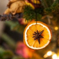 A dried orange slice with star anise in the center hanging on a Christmas tree.