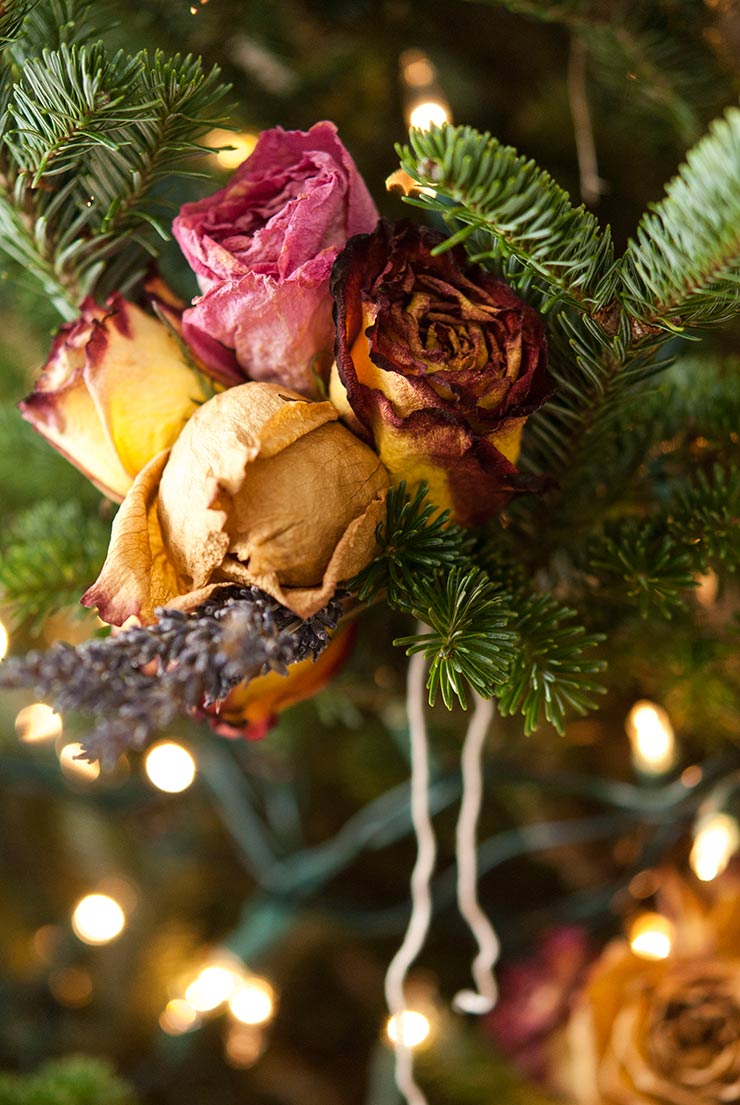 These homemade flower ornaments are the perfect DIY decoration for an elegant, colorfully natural Christmas tree! In just four steps, I’ll show you how to dry, design and hang these gorgeous, blooming decorations that are sure to impress everyone at your Christmas party! #christmas, #diy A small bouquet of roses and lavender tied to a christmas tree bough.