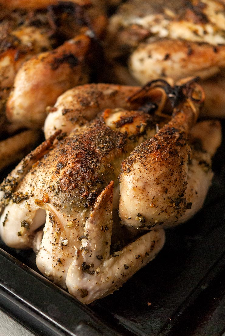 A roasted Cornish game hen in a pan with 2 other hens in the background.