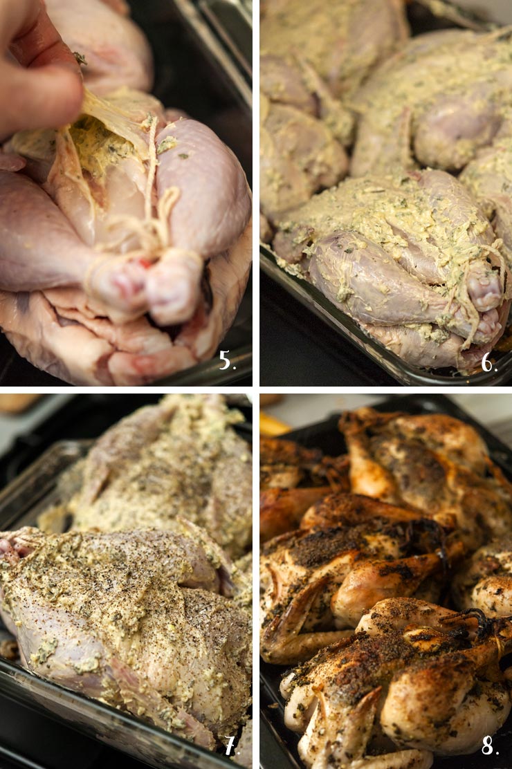 A collage of 4 numbered images showing how to marinate Cornish game hen with garlic & sage butter.