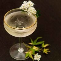 A Sparkling Elderflower Cocktail on a table, garnished with flowers and a few leaves at its base.