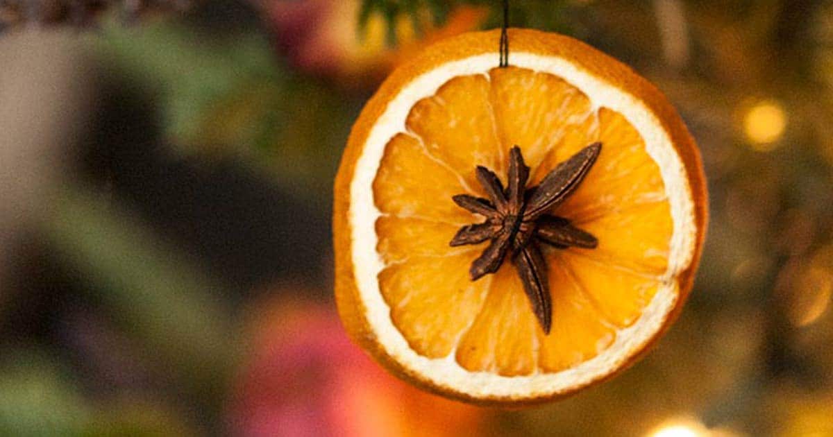 How to Make Dried Citrus Christmas Ornaments