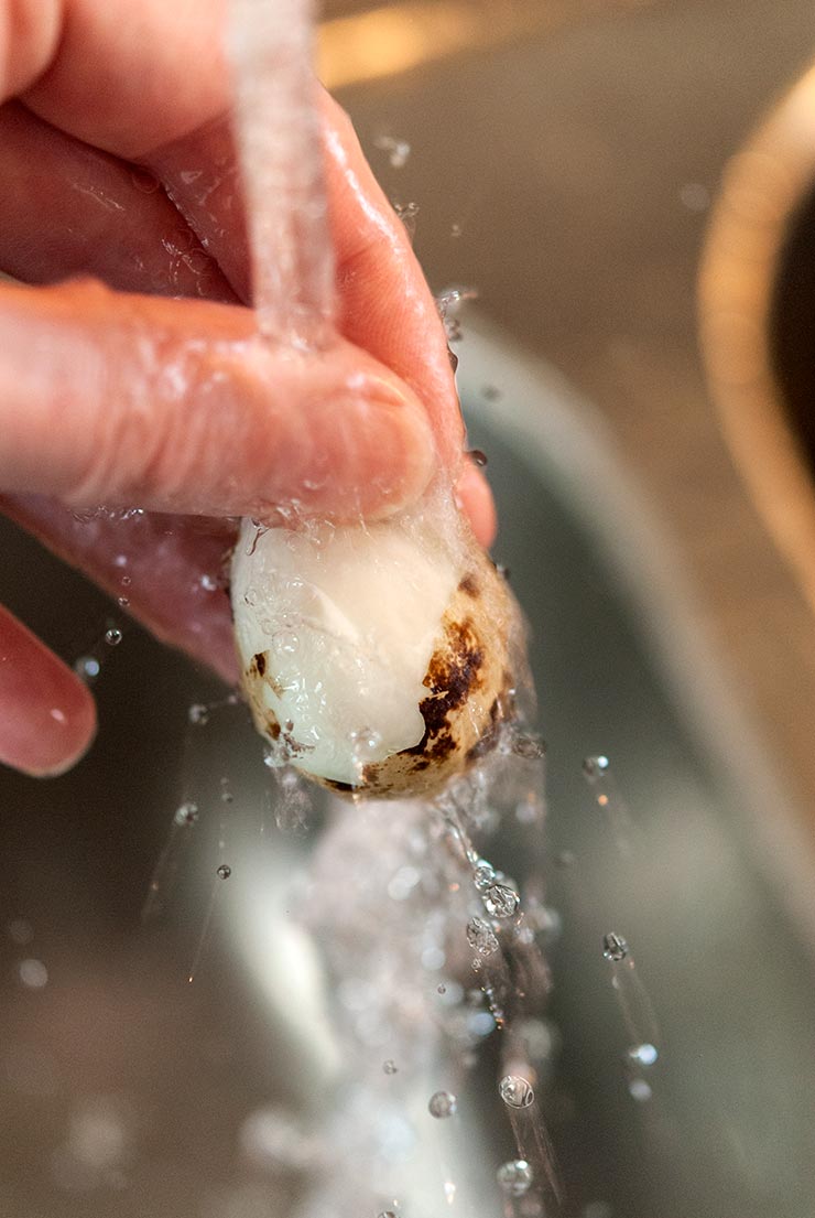Fingers peeling a quail egg under a running faucet.