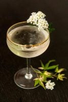 A Sparkling Elderflower Cocktail on a table, garnished with flowers and a few leaves at its base.