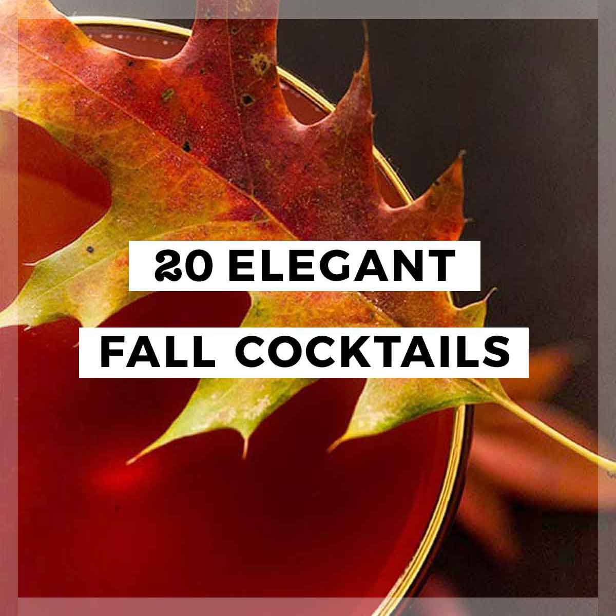 A collage of 4 cocktails and a title that says "20 Elegant Fall Cocktails."