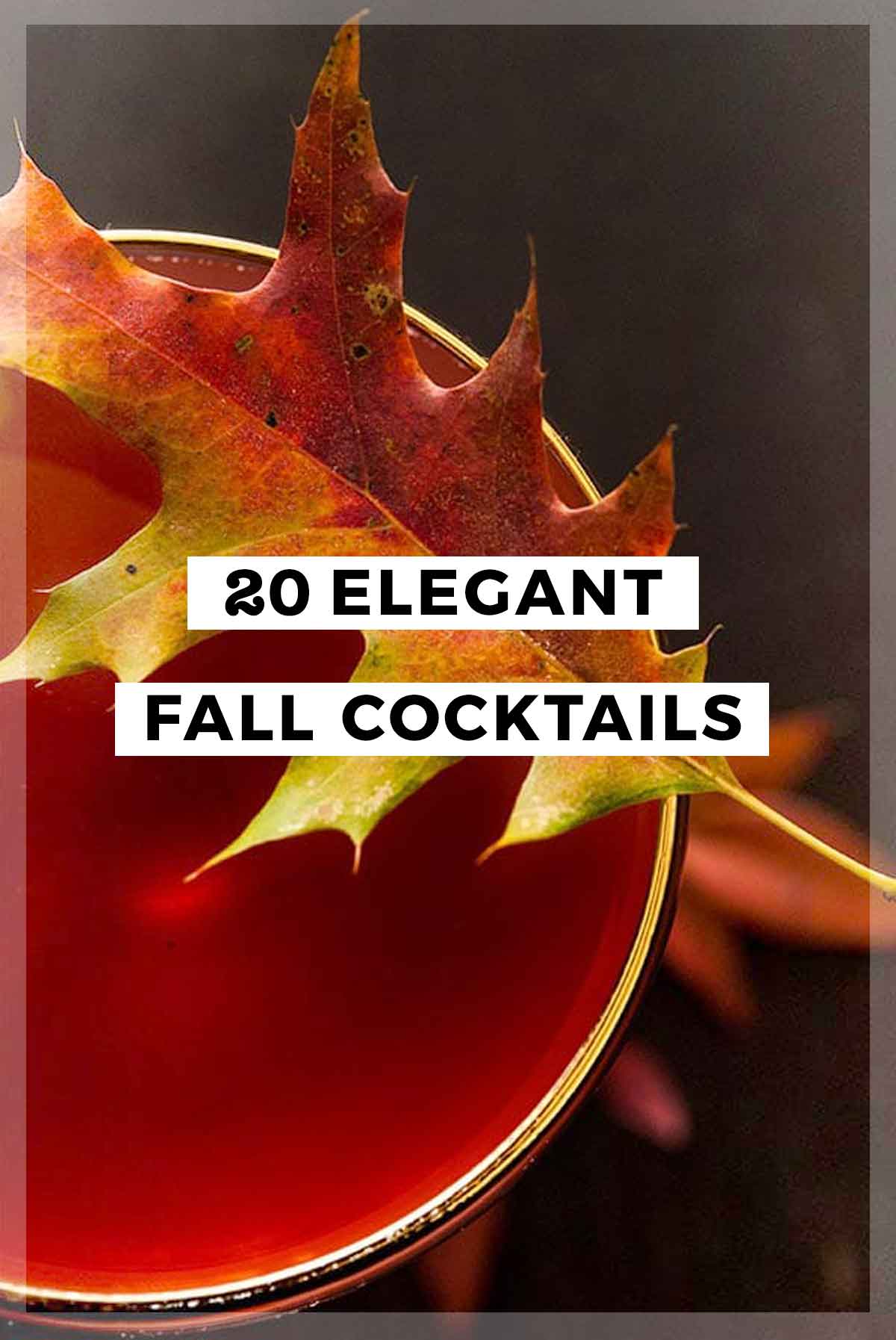 A collage of 4 cocktails and a title that says "20 Elegant Fall Cocktails."