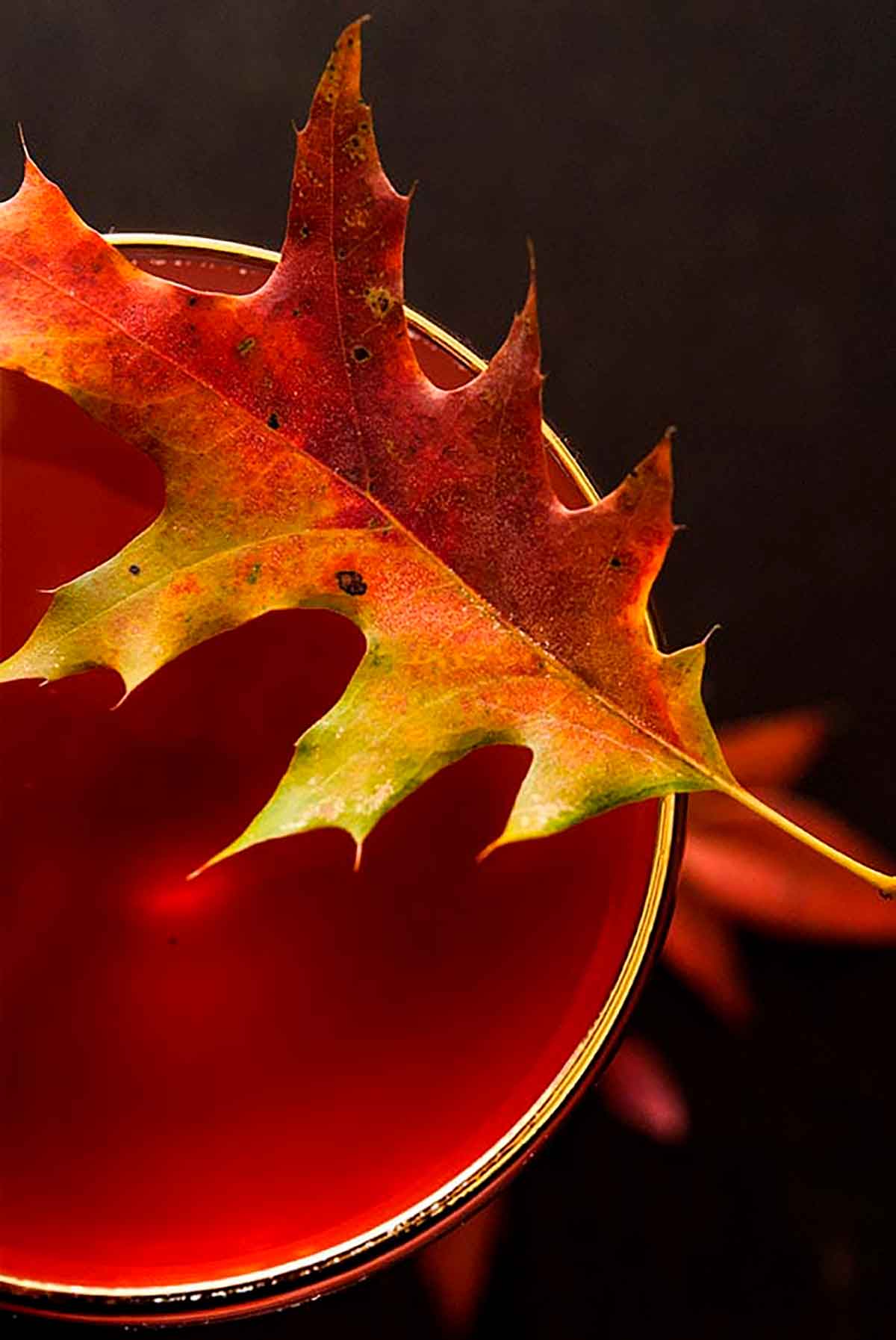 An autumn leaf on top of a red cocktail as garnish.