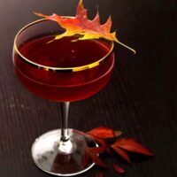 A red cocktail garnished with a colorful, autumn leaf on a dark wood table with leaves at its base.