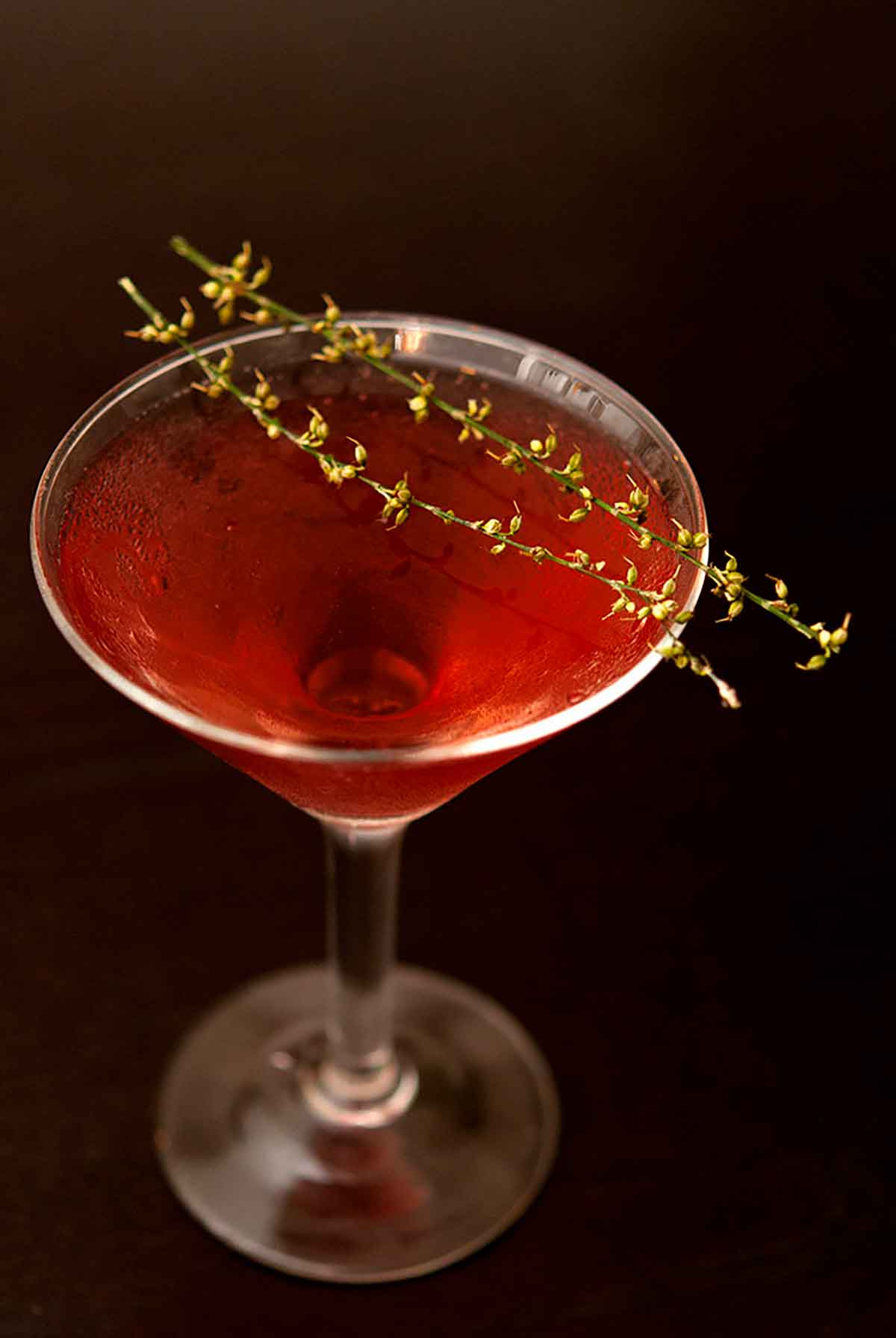 A cocktail in a martini glass, garnished with 2 sprigs of greenery on a dark table.