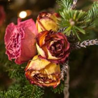 A small bouquet of roses and lavender tied to a Christmas tree bough.