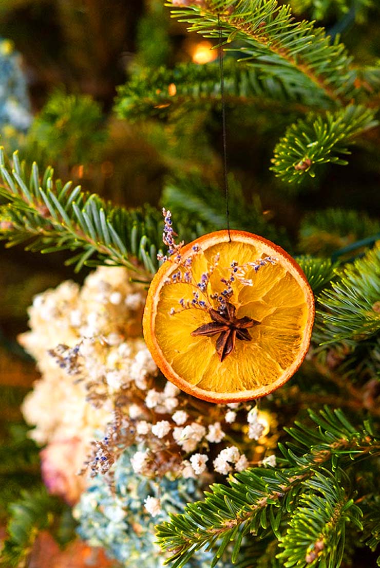 A Christmas decoration made from a dry orange and star anise, hanging on a Christmas tree.