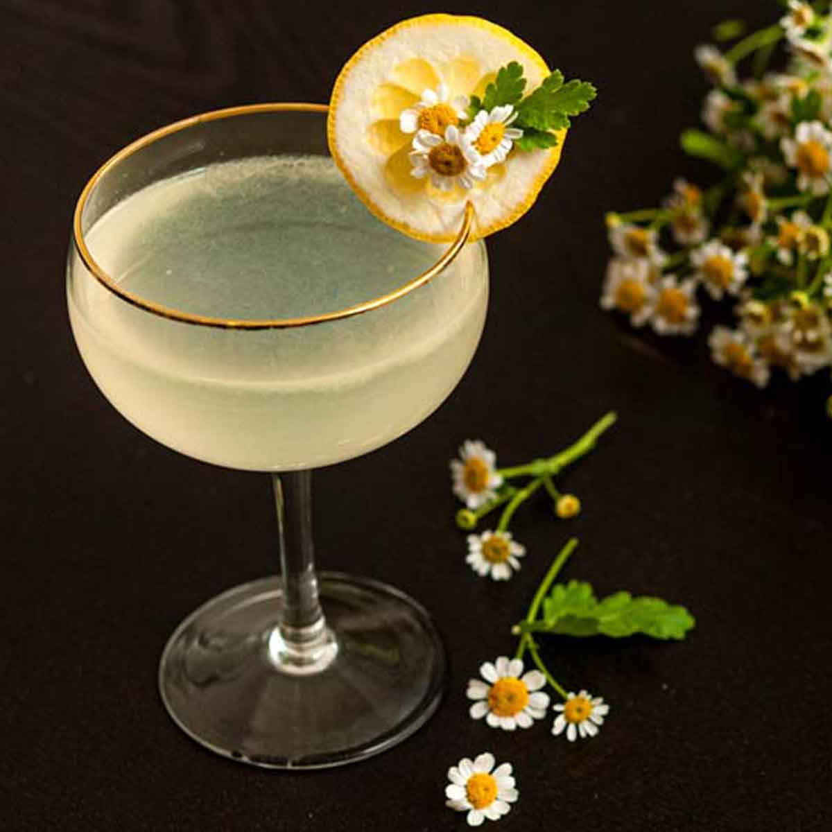 https://www.shekeepsalovelyhome.com/wp-content/uploads/2020/02/The-Simple-Lemon-Drop-Cocktail-thumbnail-square.jpg