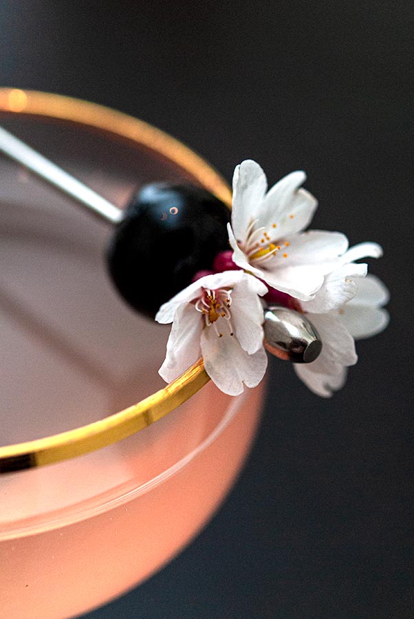 A closeup of a cherry and cherry blossom cocktail garish on the edge of a glass.