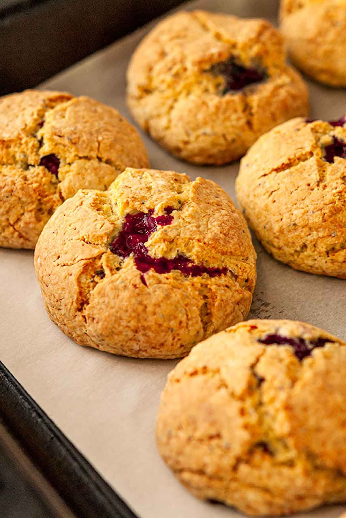 5 cooked scones on a baking sheet, fresh out of the oven.