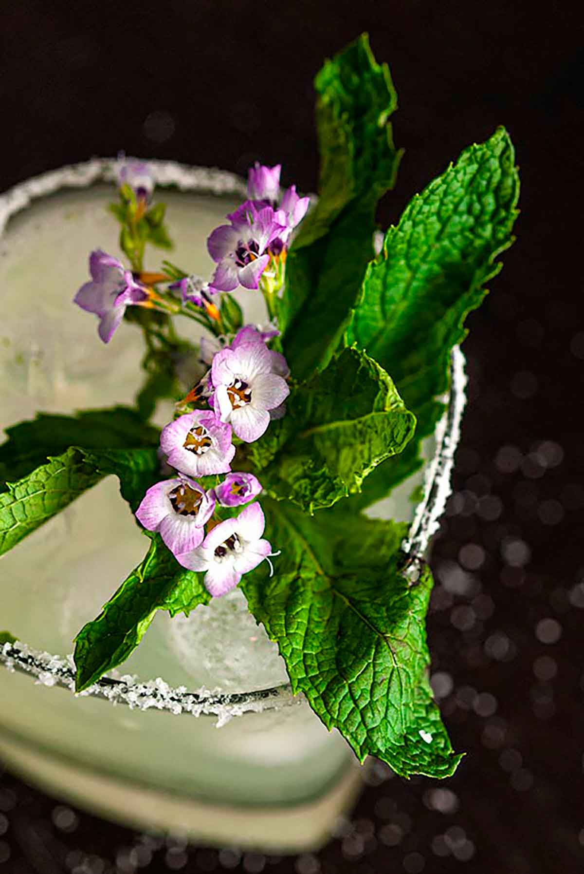 A closeup of a mint and flower garnish on a salted-rim margarita cocktail.