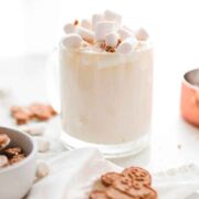 A creamy cocktail in a glass, topped with marshmallows and surrounded by cookies.