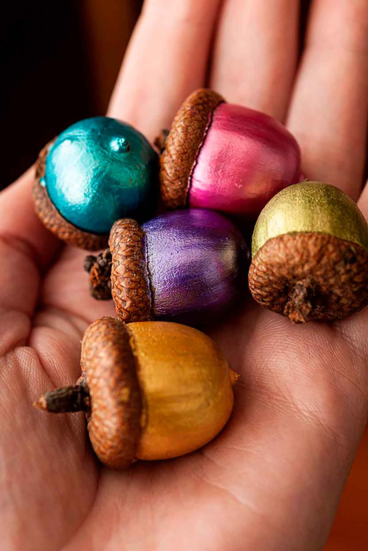 A hand holding 5 painted acorns.