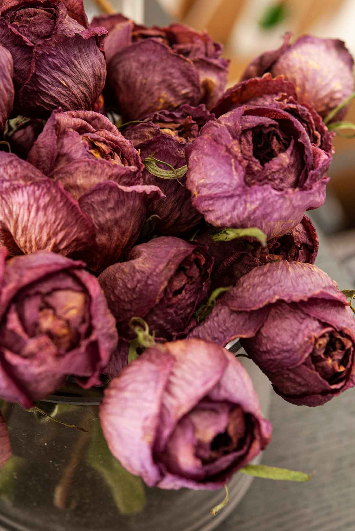 Dry purple roses in a vase on a table.