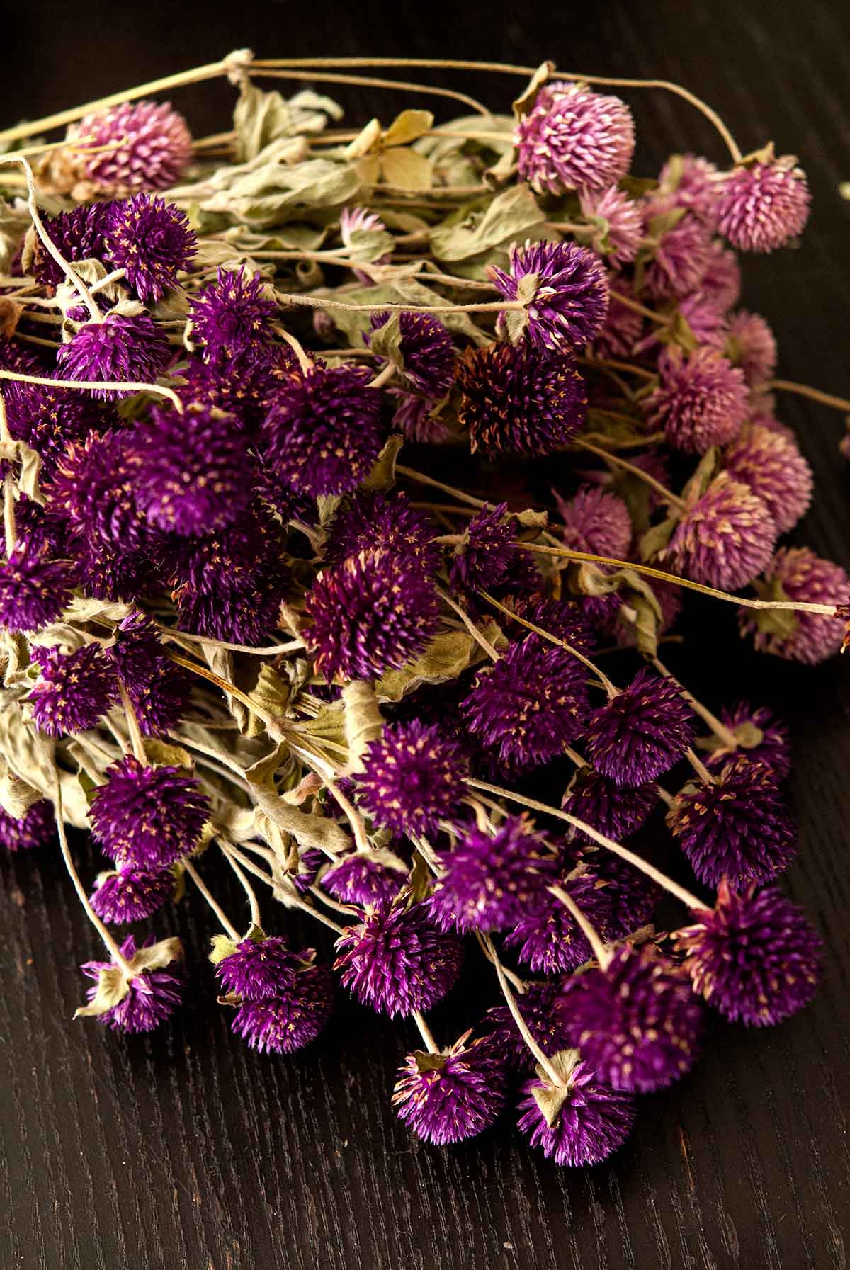 Gomphrena flowers on a table.