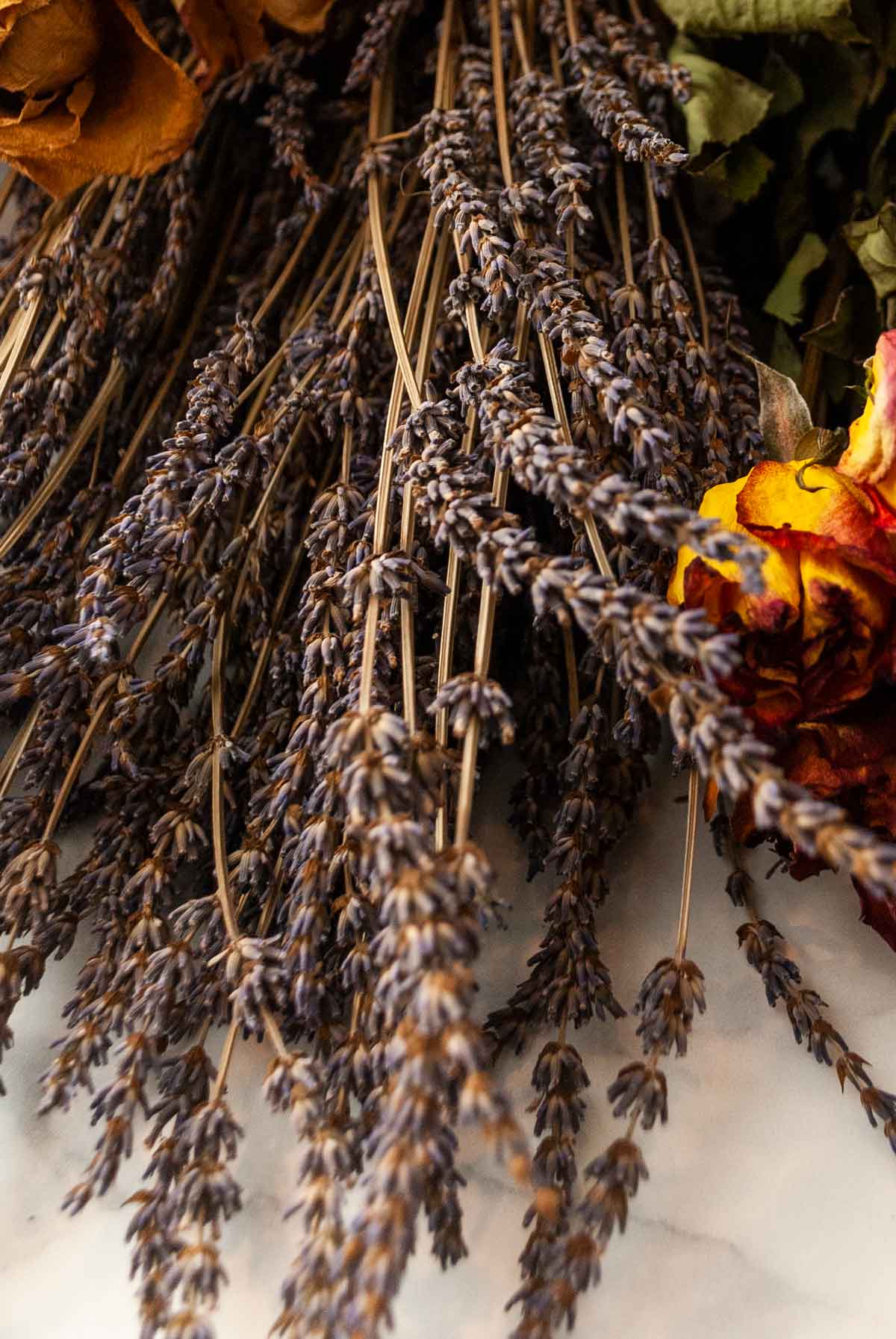 A bunch of dry lavender on a table beside roses.