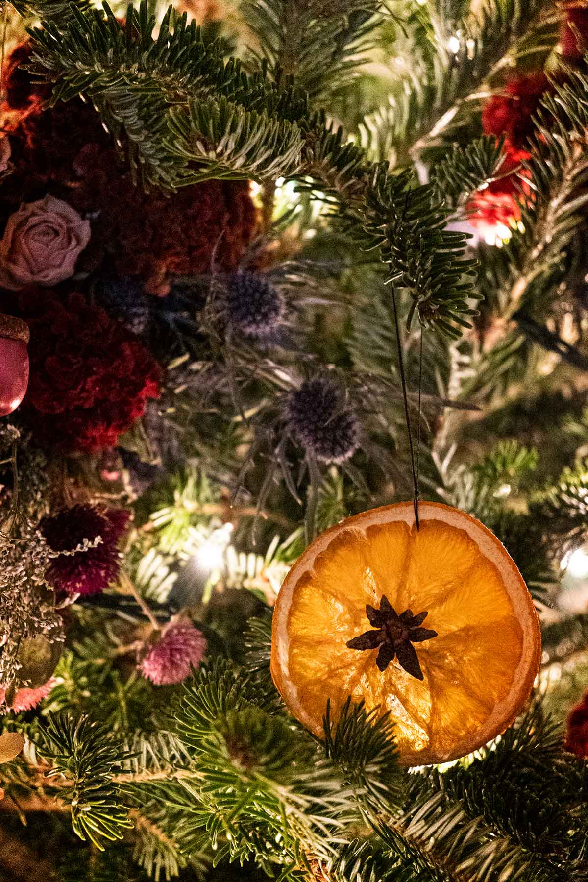 A Christmas ornament made from an orange slice on a tree, beside flowers tucked into the boughs.