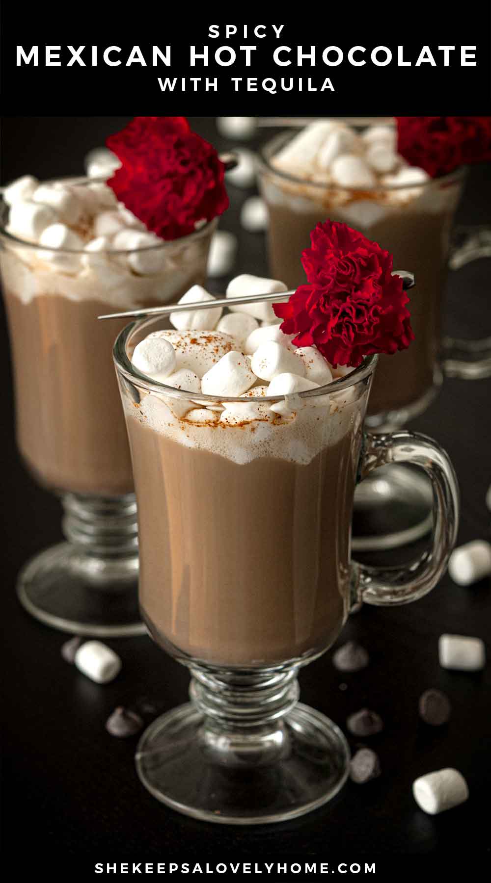 Spicy Mexican Hot Chocolate with Tequila She Keeps a Lovely Home