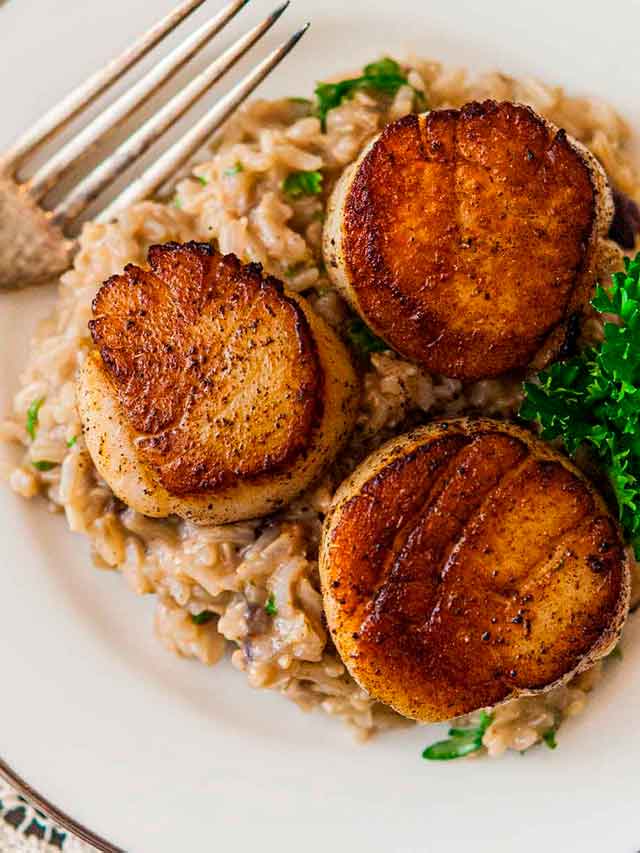 3 seared scallops on top of creamy rice, garnished with a sprig of parsley, on a plate beside an antique fork.
