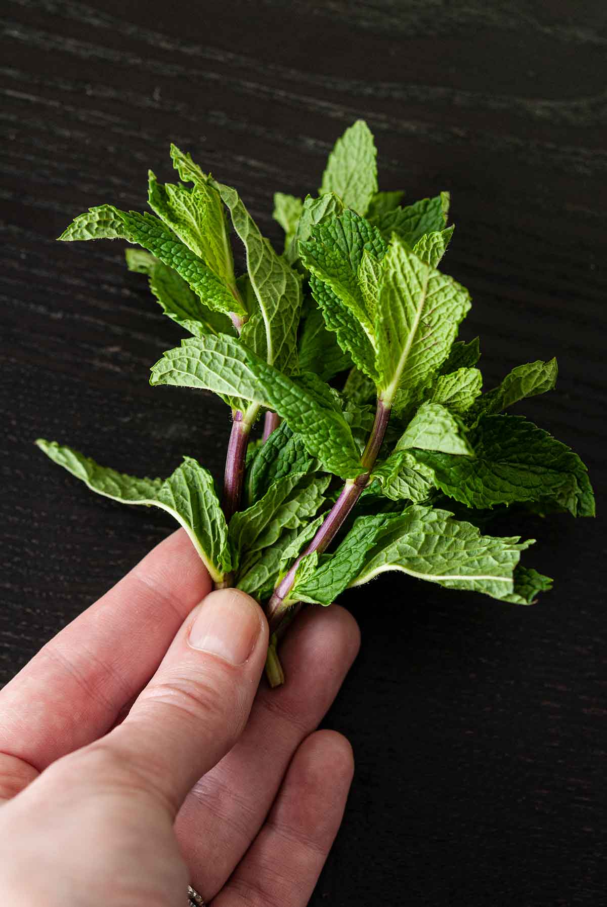 Fingers holding sprigs of mint over a black table.