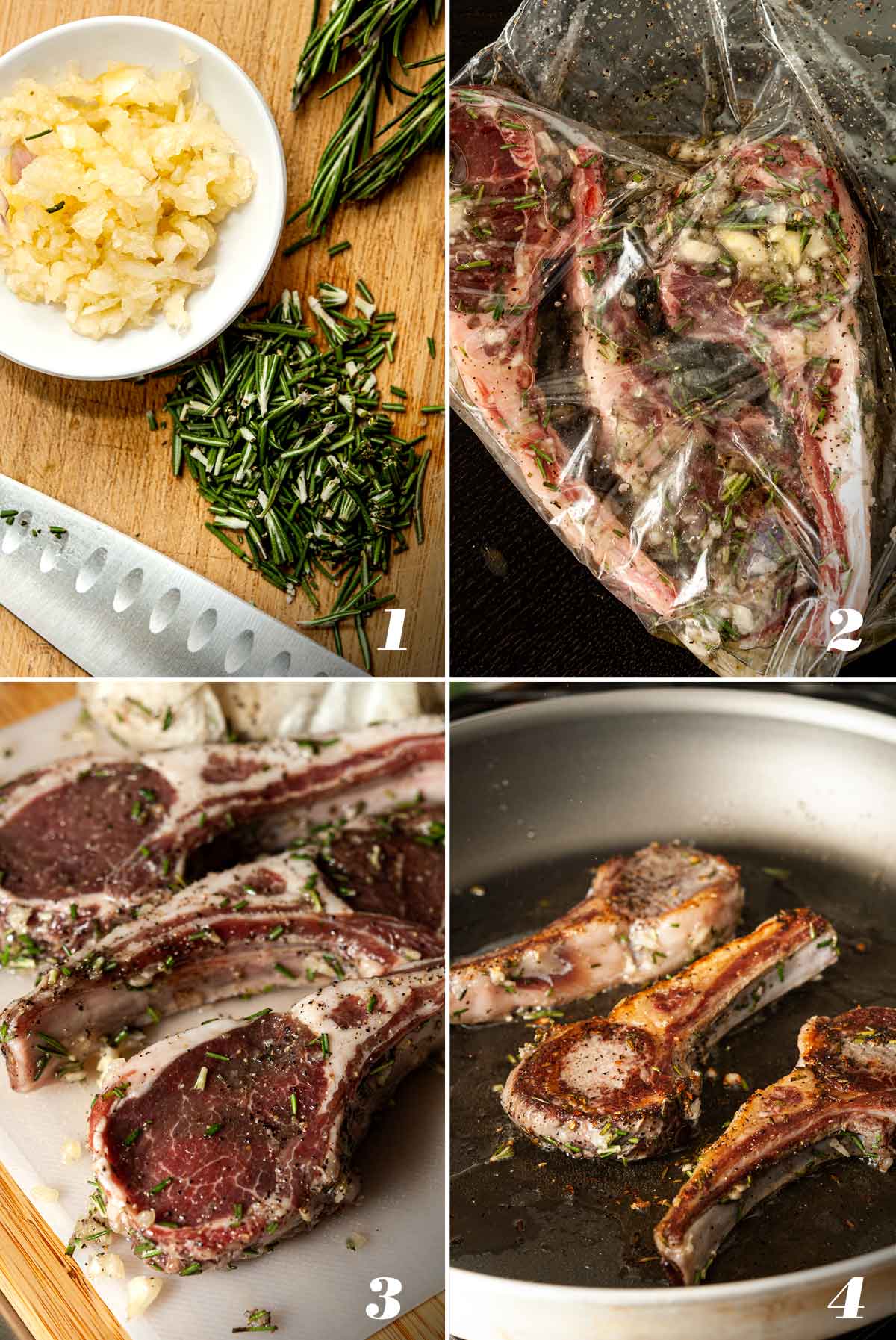 A collage of 4 images showing how to make pan-seared lamb chops.
