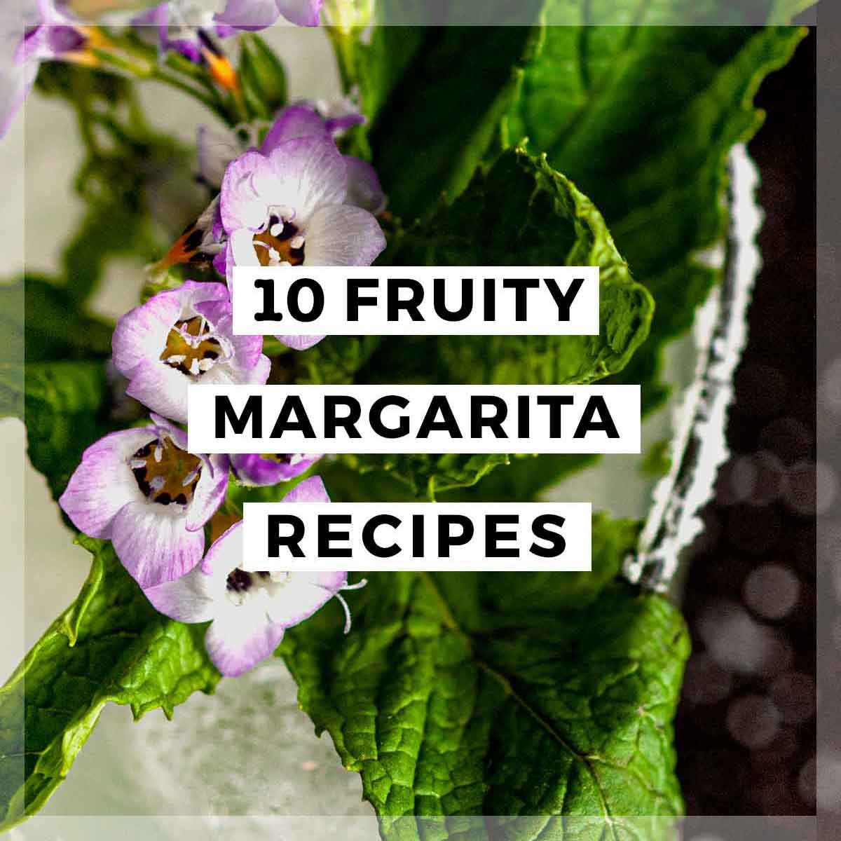 The floral and mint garnish on a margarita with a title that says "10 Fruity Margarita Recipes."