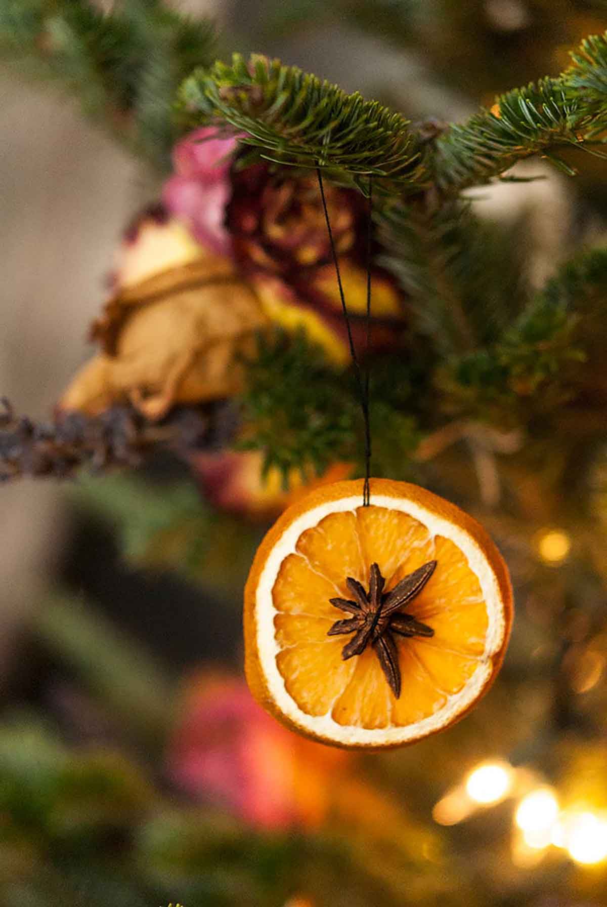 A dried orange slice with star anise in the center hanging on a Christmas tree.