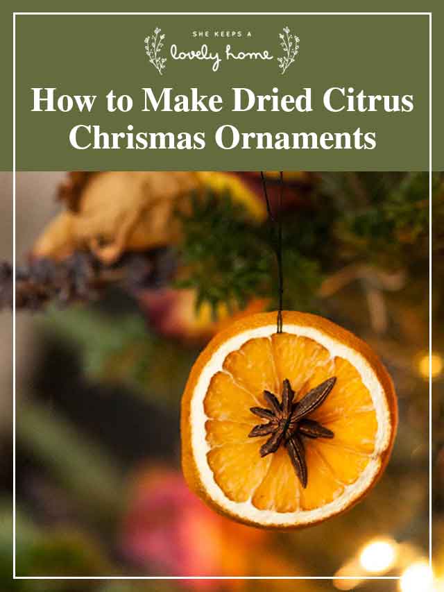 A dried citrus ornament on a tree with a title that says "How to Make Dried Citrus Christmas Ornaments."