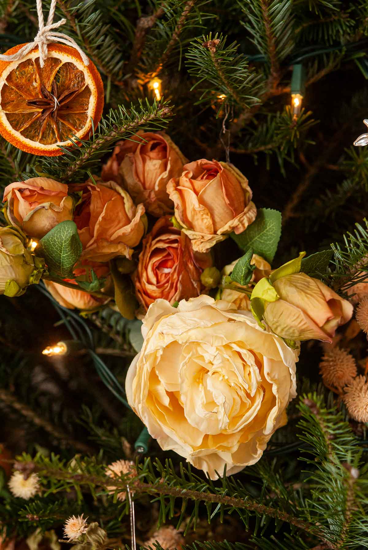 A bunch of roses in a Christmas tree with lights and a citrus ornament.