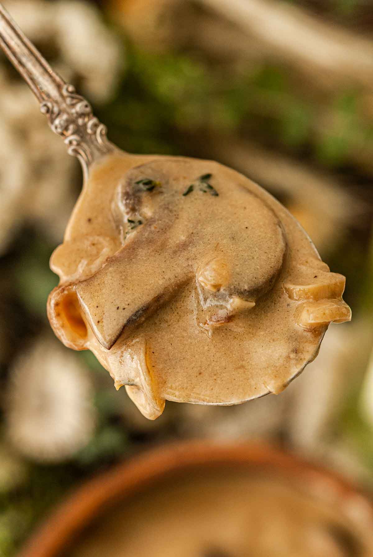 A spoon full of white wine mushroom sauce.