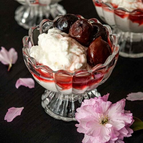 A bowl of yogurt and cherries on a table beside a cherry blossom.
